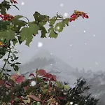 Raineri 4* Giardini Naxos