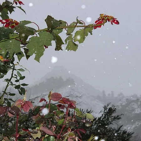 Raineri 4* Giardini Naxos