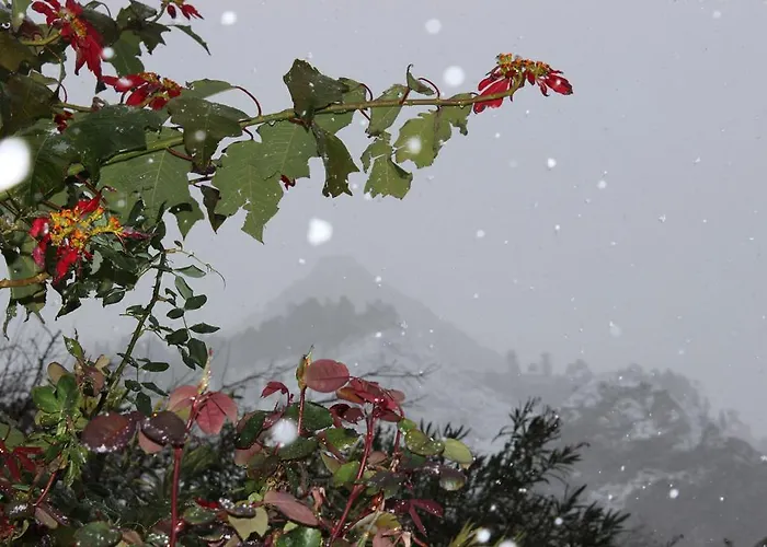 Raineri 4* Giardini Naxos