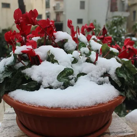 Raineri 3* Giardini Naxos